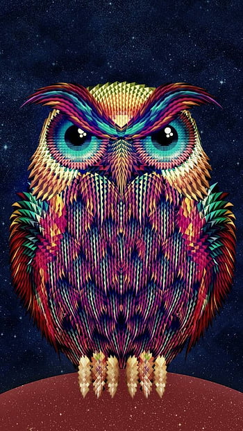Owl phone HD wallpapers | Pxfuel