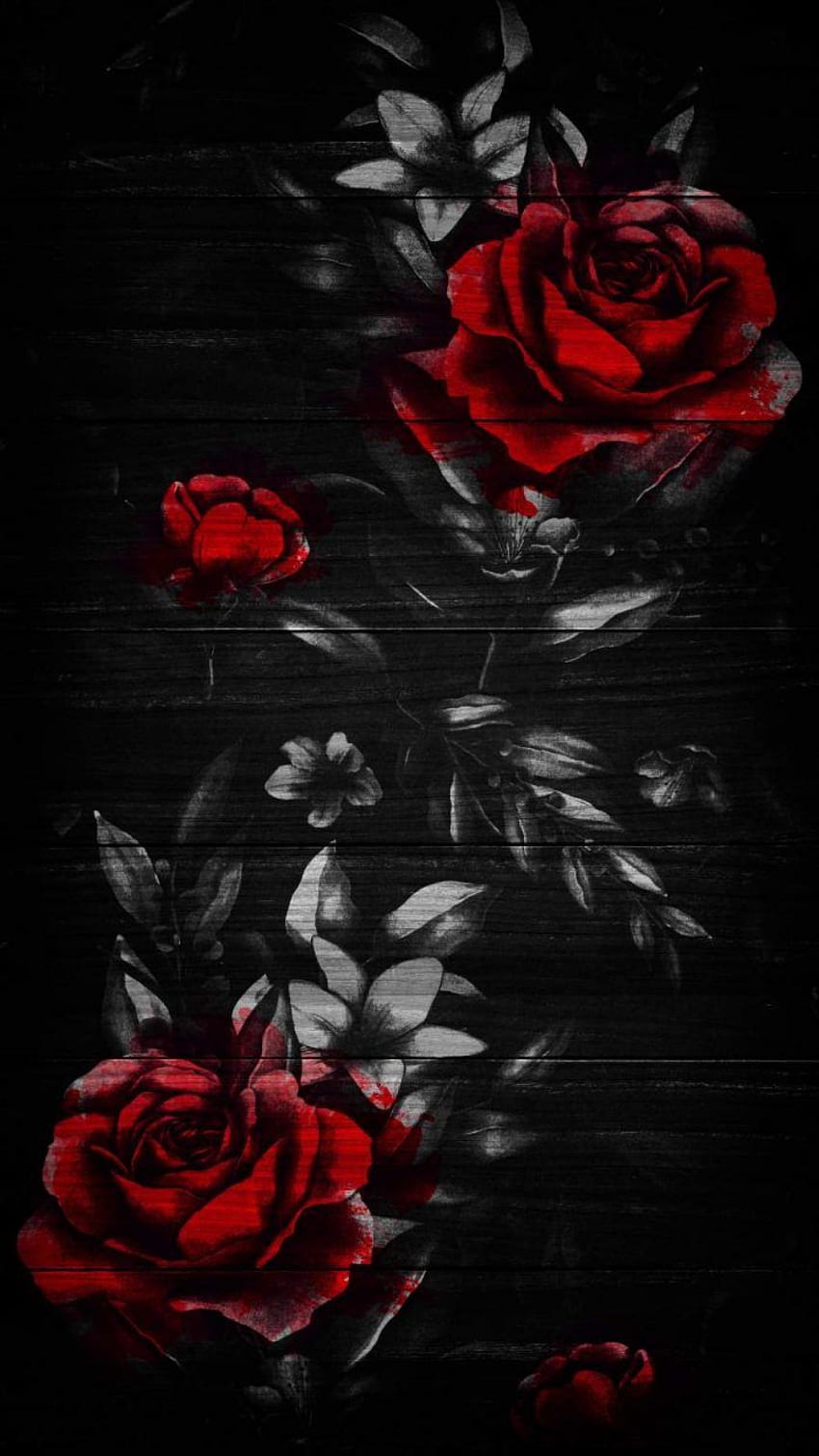 iPhone - for iPhone 12, iPhone 11 and iPhone X : iPhone in 2021. iphone roses, Dark red , Black roses, Red Gothic iPhone HD電話の壁紙