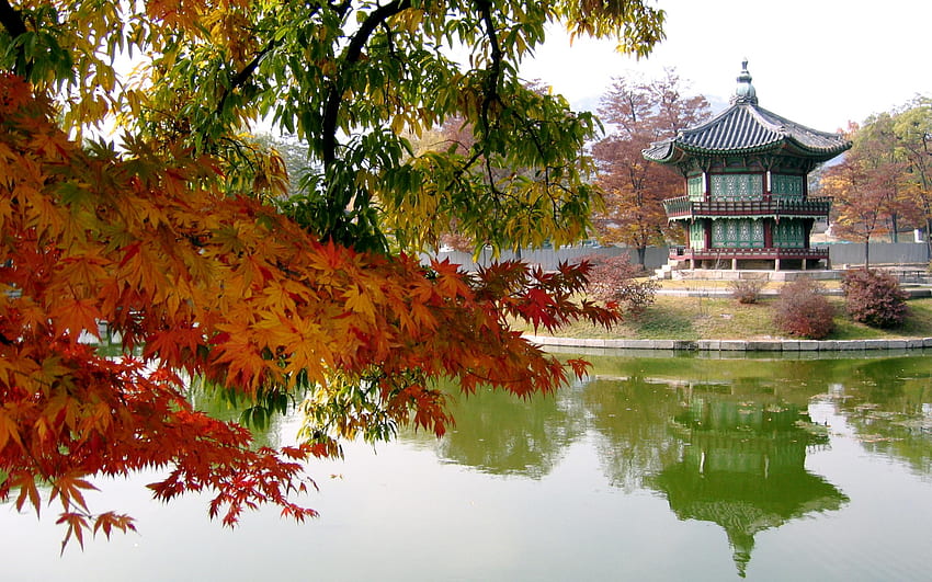 Korea, Korea Fall HD wallpaper