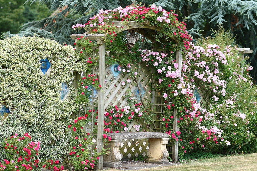 シークレット ガーデン、ベンチ、庭、バラのアーチ、自然、花 高画質の壁紙