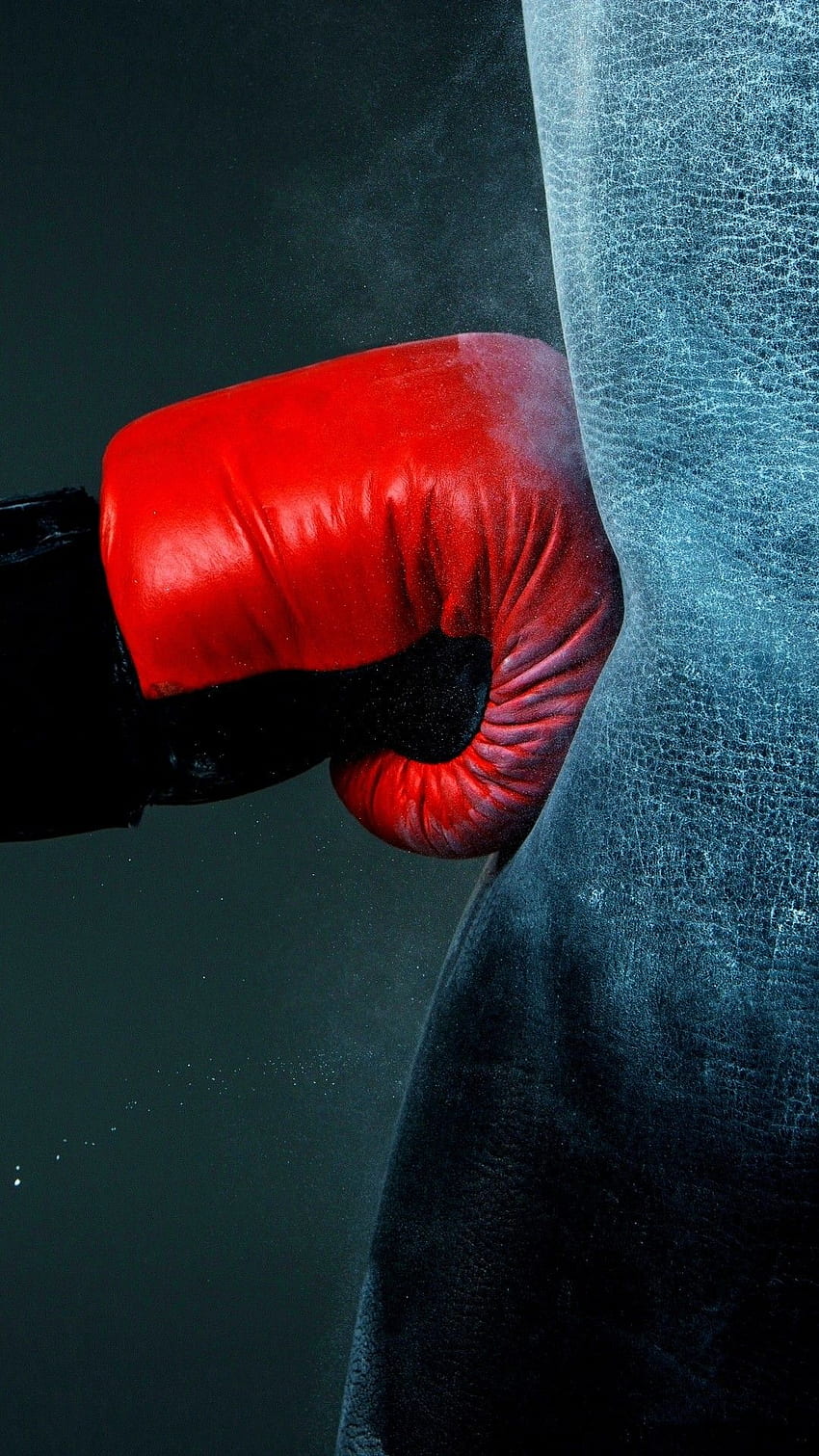 Boxing Gloves HD phone wallpaper