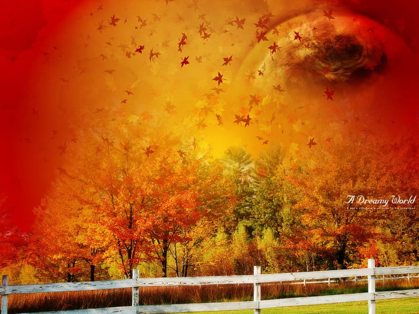 Otoño rojo, árboles, bosque, colores de otoño, cerca fondo de pantalla