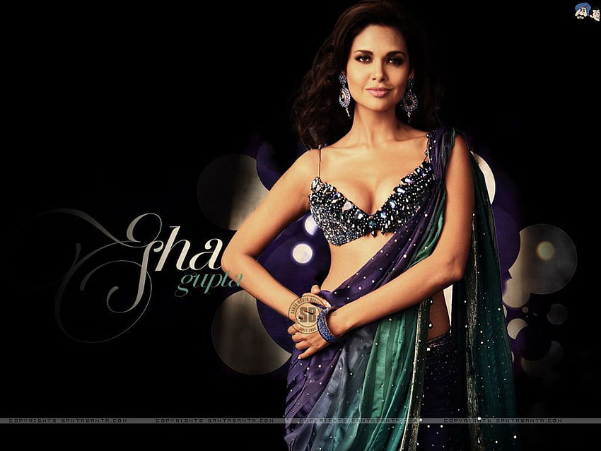 Heroínas y actrices calientes de Bollywood I Indian, Esha Gupta fondo de pantalla