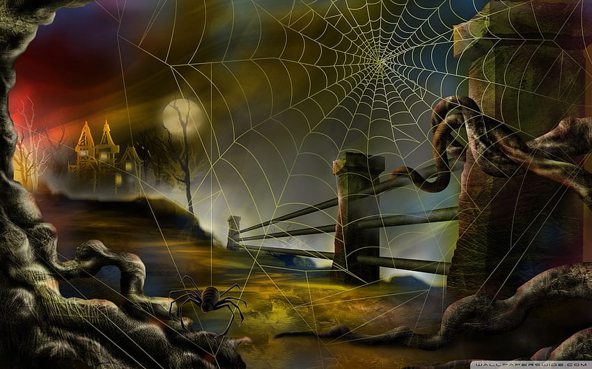 Spider Web Hallowmas Halloween ❤ dla, Cartoon Spider Web Tapeta HD