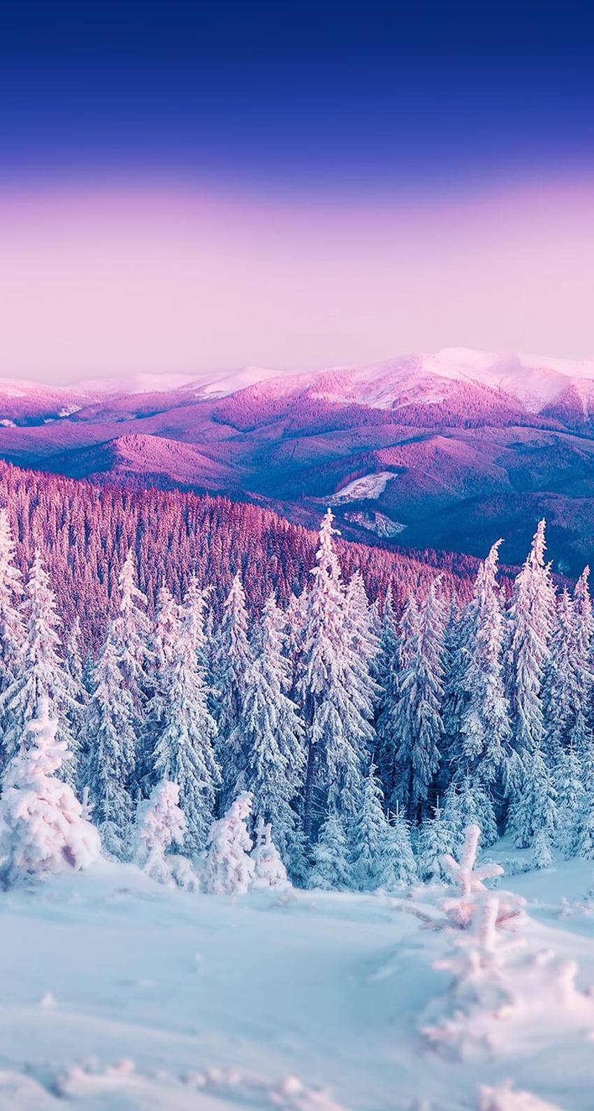 겨울 . 자연, 놀라운 자연 겨울 HD 전화 배경 화면