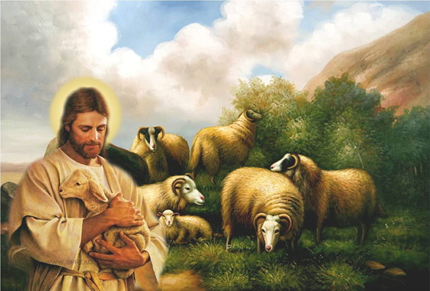 良い羊飼い、神、愛、羊、イエス、キリスト、羊飼い 高画質の壁紙
