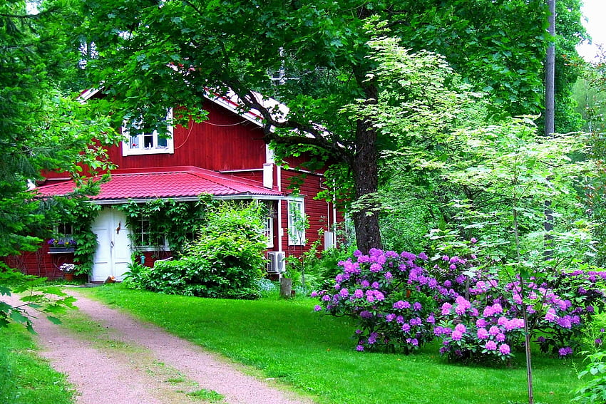 Nature, Flowers, House, Garden, Door, Courtyard, Yard HD wallpaper
