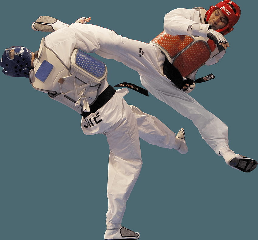 GTC Academy, combattant de taekwondo Fond d'écran HD