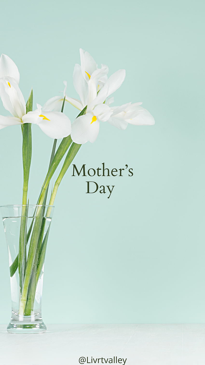 Ден на майката, най-добрата мама, майка, моята мама, мама, честит ден на майката, loveyouomom, денят на майката, уважавана форма, семейство, маа HD тапет за телефон