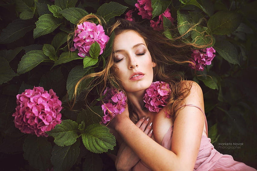 Beauty, model, pink, hydrangea, marketa novak, flower, girl, woman HD wallpaper
