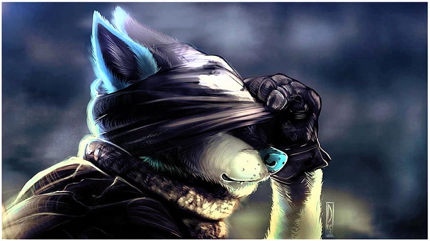 Schwarzer und blauer Wolf pelzig, Cool Furry HD-Hintergrundbild