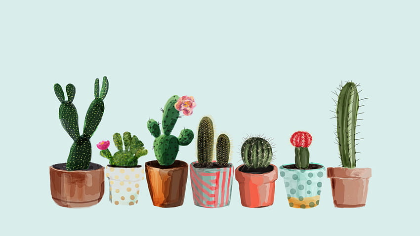 Succulent, Cactus Aesthetic HD wallpaper