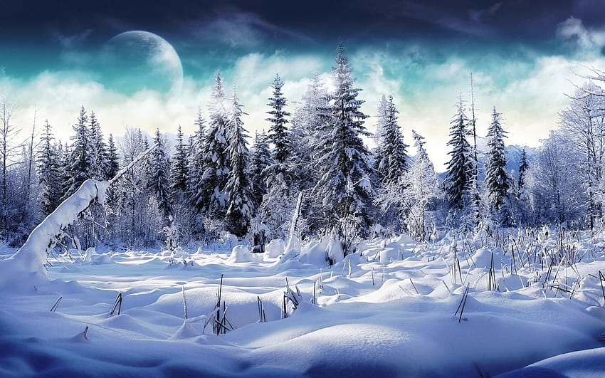 ฤดูหนาวทางภูมิศาสตร์แห่งชาติ Thien nhiên, Tuyết, Mùa đông วอลล์เปเปอร์ HD