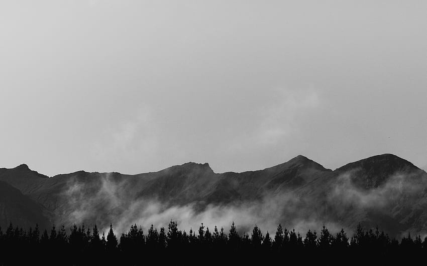brumoso, montaña, gris, árbol, gris, blanco y negro, blanco y negro, paisaje, espacio negativo, monocromo, silueta, niebla, naturaleza, nueva zelanda, gama, niebla, nube, bosque, blanco y negro, Black Cloud Forest fondo de pantalla