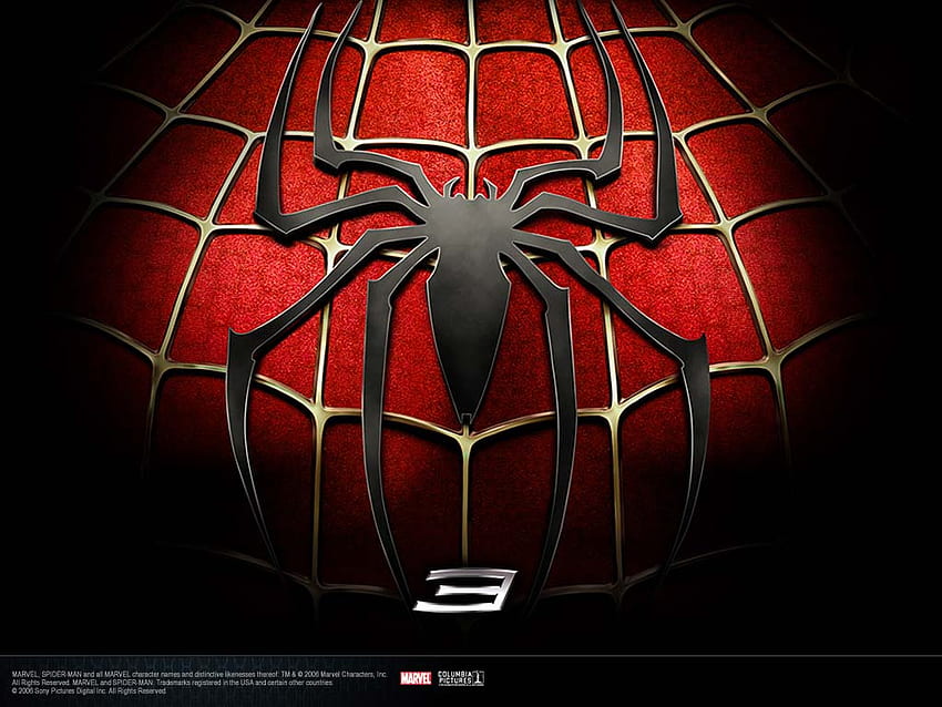Fan 3 Movie, Spider-Man Web HD wallpaper