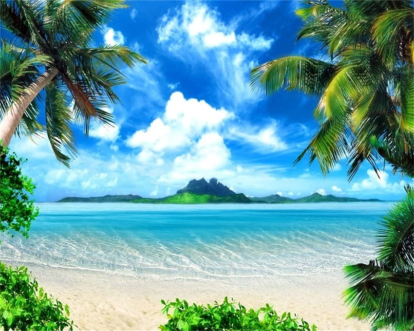 AO ft Tropischer Strand, Hintergrund, Küste, Palme, Hintergrund, Hawaiian Luau, klares Meer, blauer Himmel, Urlaubsreise, Urlaub, Kind, Erwachsener, Porträt, Studio-Requisiten, Vinyl: Kamera und Strandpalmen HD-Hintergrundbild