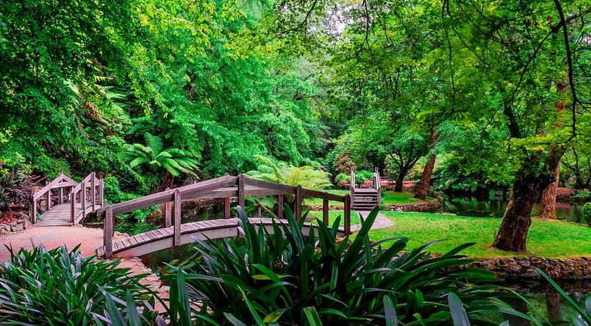 緑豊かな公園、美しい、公園、きれい、緑、橋、木々、緑、美しい、池 高画質の壁紙