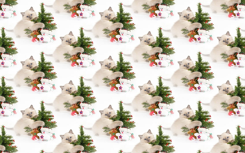 Pattern, white, craciun, christmas, green, cute, cat, tree, kitten, texture HD wallpaper