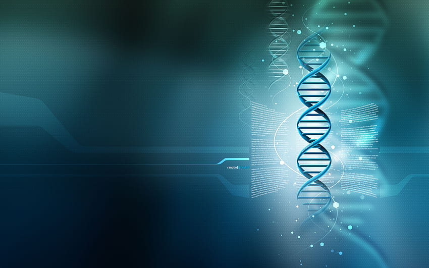 3D DNA Purple, Transcription HD wallpaper