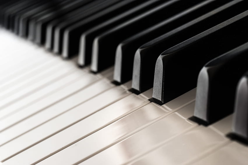 흰색과 검은색 피아노 건반 HD 월페이퍼