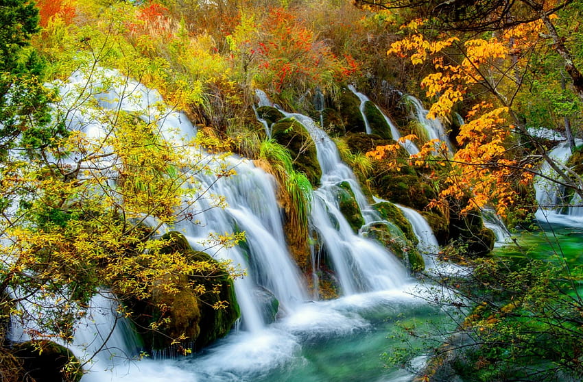 น้ำในฤดูใบไม้ร่วง สีสัน พุ่มไม้ น้ำตก น้ำตก ต้นไม้ ฤดูใบไม้ร่วง น้ำ ป่า สตรีม วอลล์เปเปอร์ HD