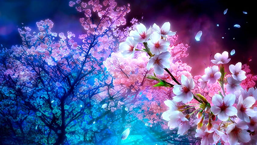 Albero dei fiori di ciliegio, albero dei fiori di ciliegio della grande natura, albero dei fiori giapponese Sfondo HD