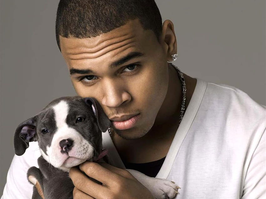 Chris Brown High Quality, Chris Brown 2020 HD wallpaper