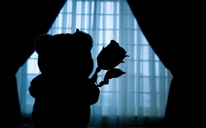 From Bear With Love, artwork, curtains, rose, abstract, bear, window, silhouette HD wallpaper