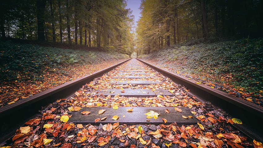 Railway Track , , Background, and HD wallpaper