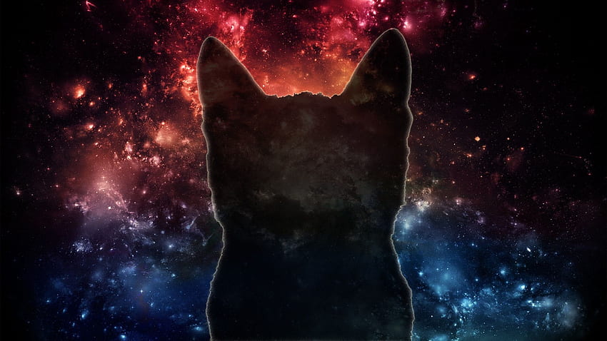 Galaxy Cat HD wallpaper | Pxfuel