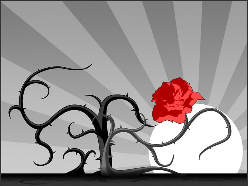 Mawar merah, mawar, abstrak Wallpaper HD