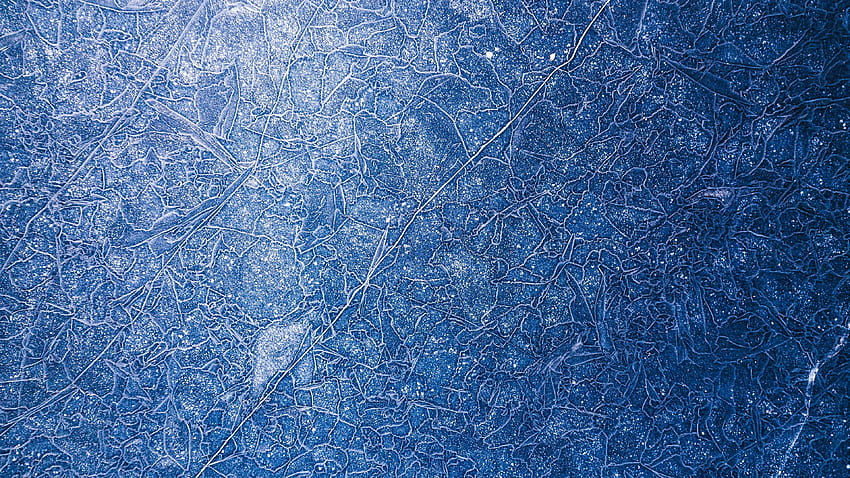ice, patterns, frost, snow, Frozen HD wallpaper