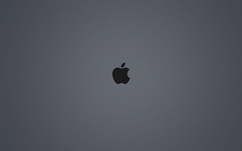 Grey Apple Logo , Apple Logo Space HD wallpaper