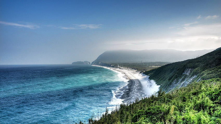 magnifique littoral, brouillard, mer, falaises, côte, arbres, surf Fond d'écran HD