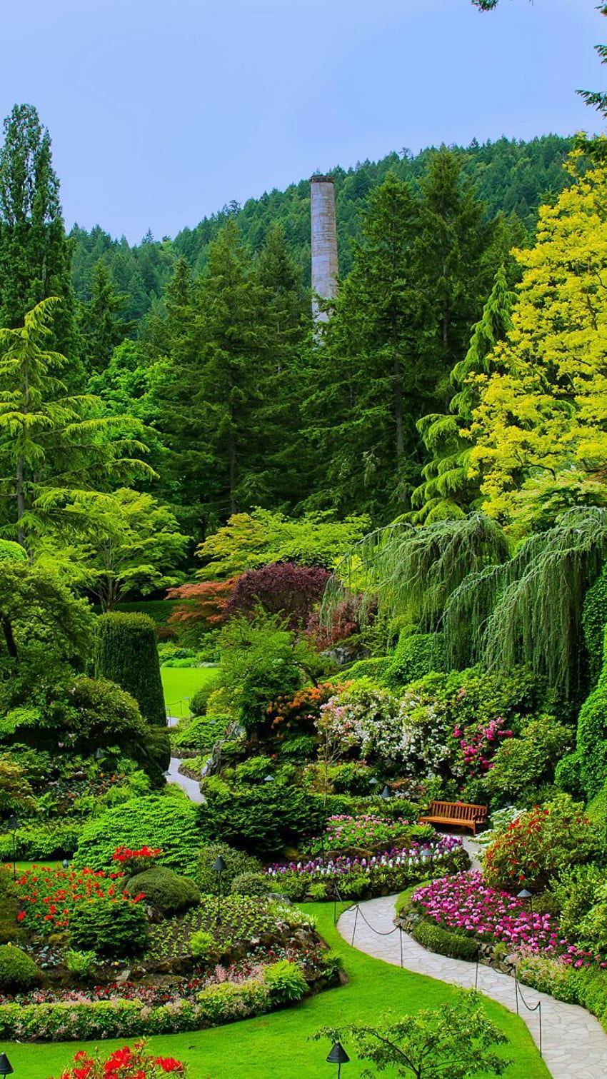 Aesthetic Garden Wallpapers  Top Free Aesthetic Garden Backgrounds   WallpaperAccess