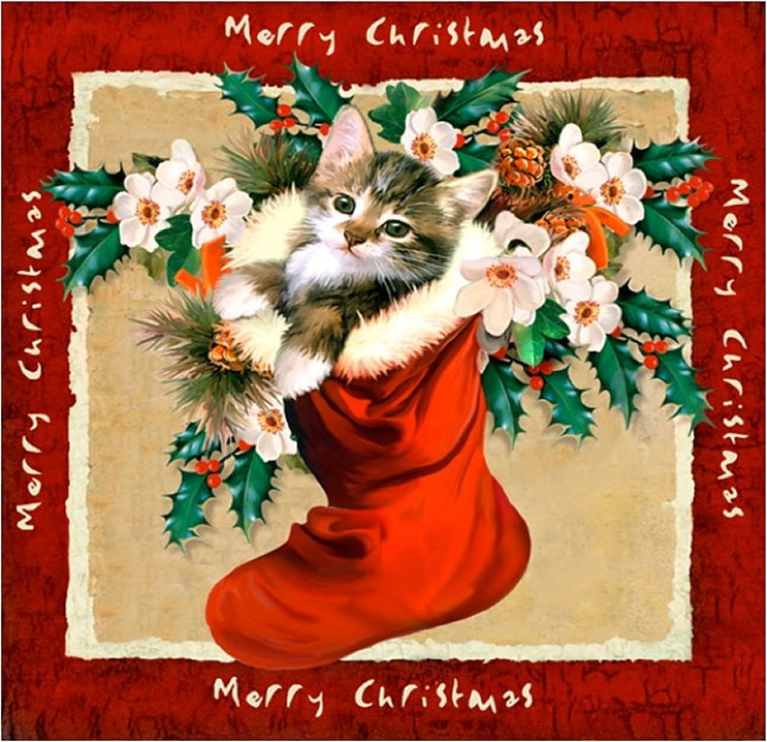 Merry Christmas, kitten, holiday, flower, christmas, cat HD wallpaper
