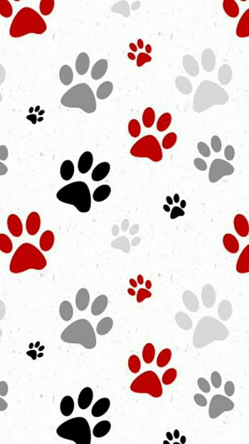 Cute animalistic seamless pattern with cat or dog paw prints on grey  background Stock Vector Image  Art  Alamy