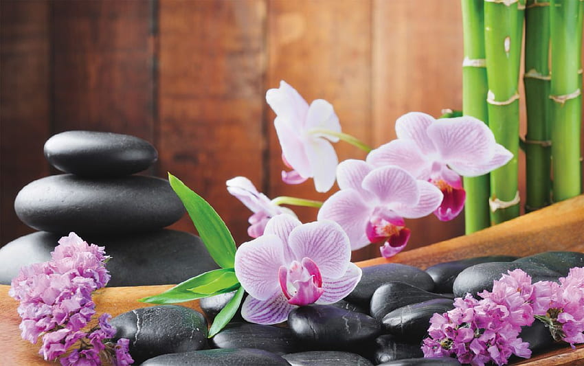 mural spa composition with bamboo and pink flowers HD wallpaper