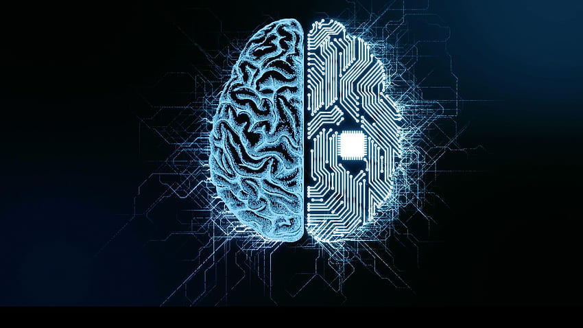 AI Technology is Disrupting the Traditional Classroom. NOVA, Artificial Intelligence Brain HD wallpaper