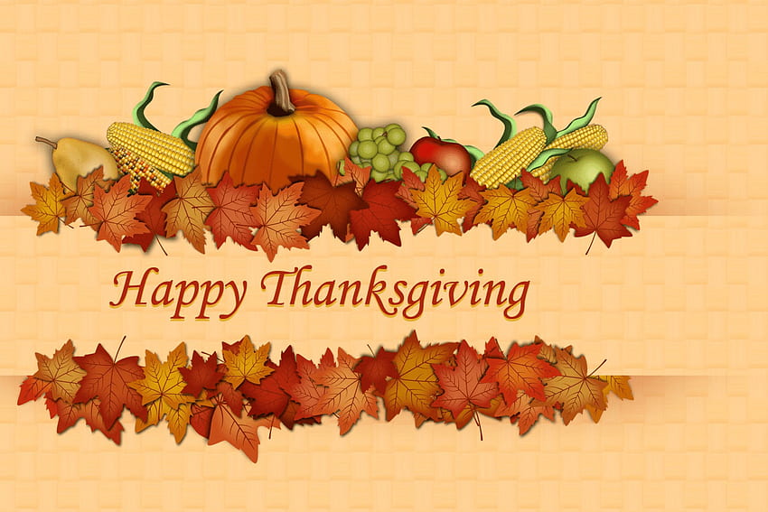Best Thanksgiving, Cute Thanksgiving Pilgrim HD wallpaper | Pxfuel