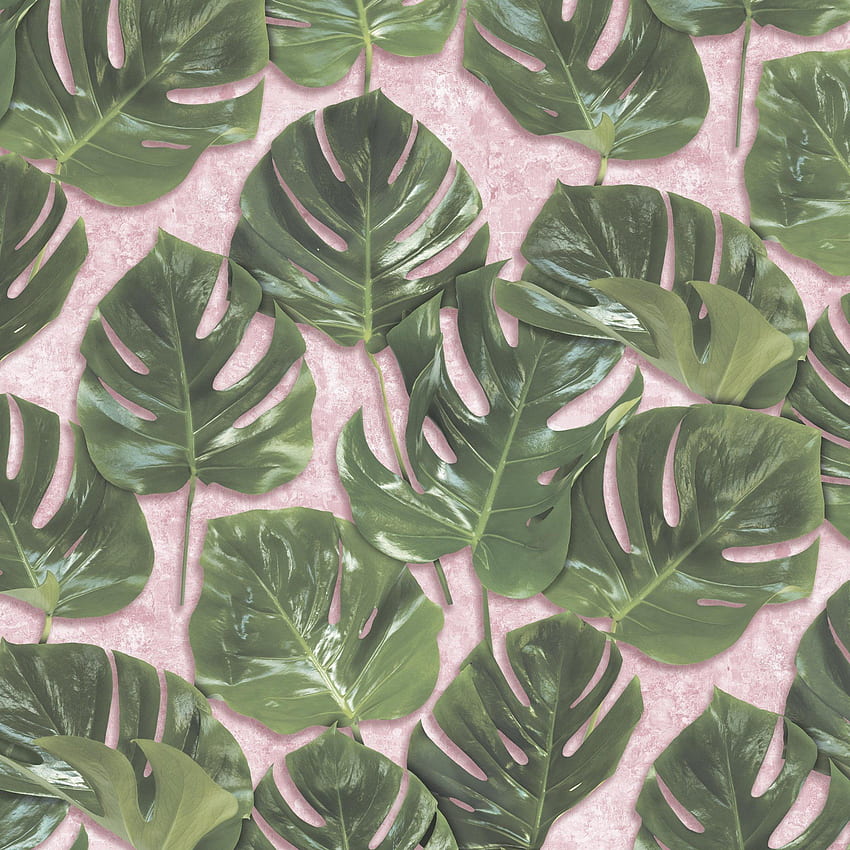 Monstera Leaf by Woodchip & Magnolia HD phone wallpaper