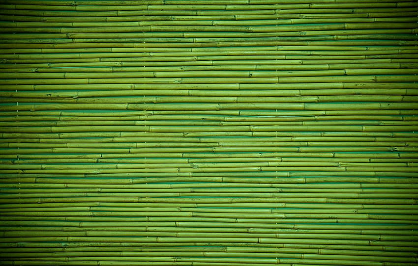 緑、木、模様、竹、Bamboo Wood Texture 高画質の壁紙