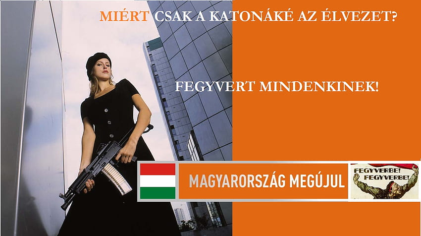 みんなのための銃（内戦のために）、セスカ・ズブロヨフカ、ハンガリー、無政府状態、カラシュニコフ 高画質の壁紙