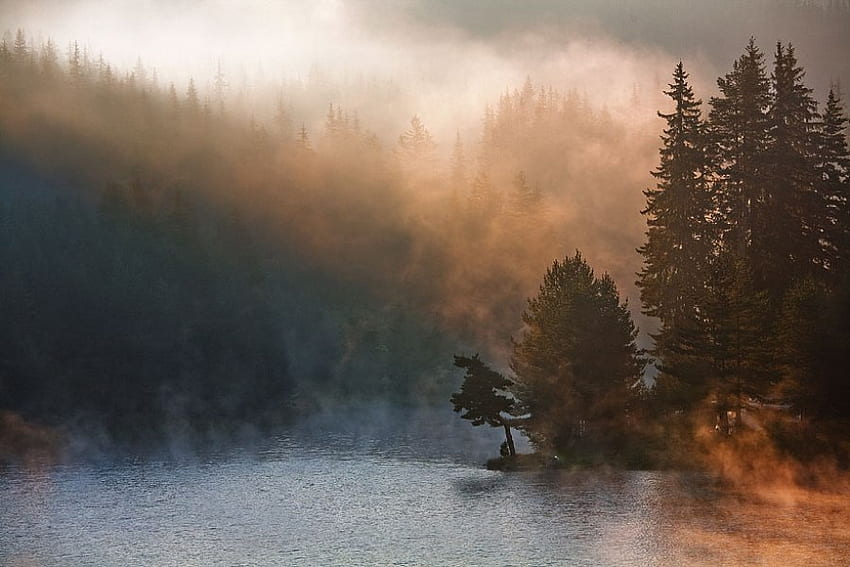 Górska mgła, mgła, rzeka, mgła, grafika, bułgaria, drzewa Tapeta HD