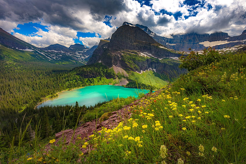 Glacier park, hills, slope, Glacier, beautiful, lake, park, mountain, wildflowers, view HD wallpaper