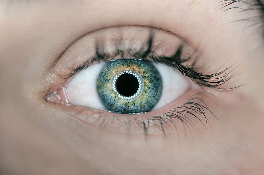 Auge [], Menschliches Auge HD-Hintergrundbild