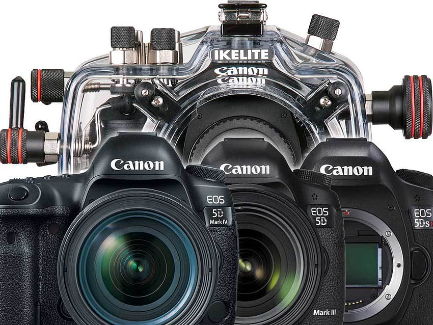 Housing Compatibility for Canon 5D Mark III, 5D Mark IV, 5DS, 5DS R – Ikelite HD wallpaper