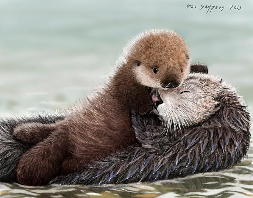 Sea Otter, Baby Otter HD wallpaper