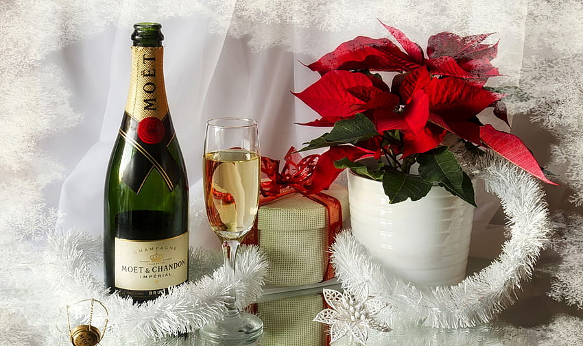 New year Sparkling wine Gifts Euphorbia, Moët HD wallpaper