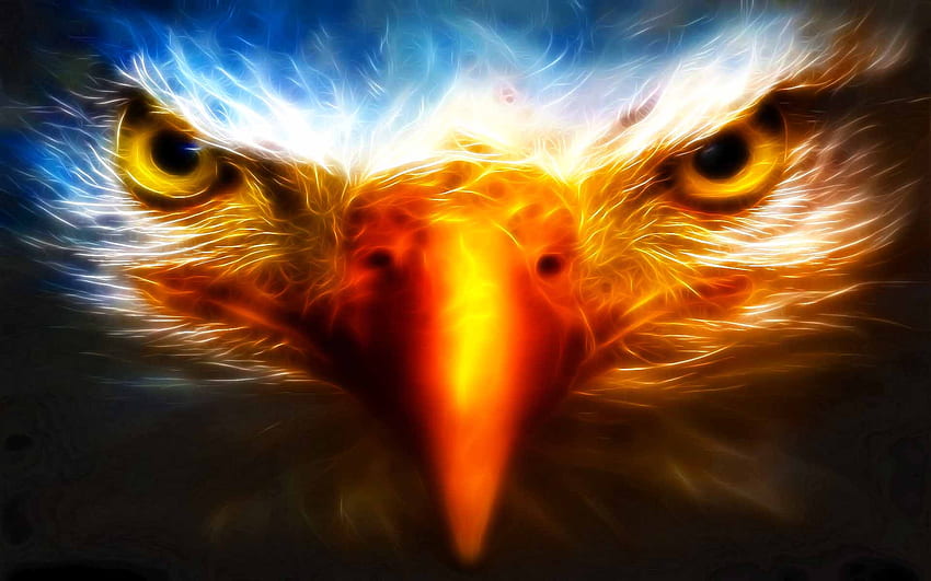 Where Eagle Stare, fractalius, birds, eagle, beauty Wallpaper HD
